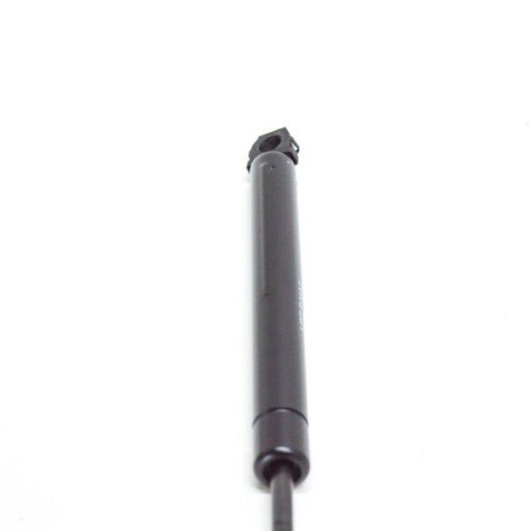 A1299800564