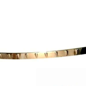 A1698800101