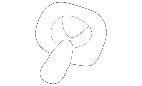 20388501269999