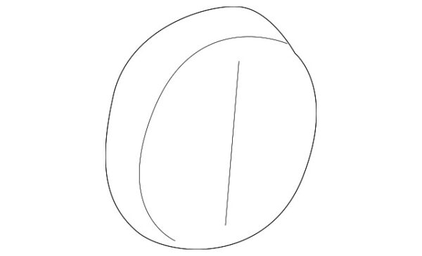 A20491900887E94