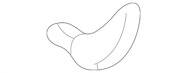 A20891005717D43