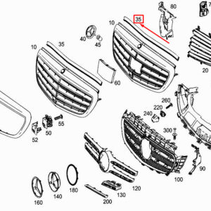 A2136281100