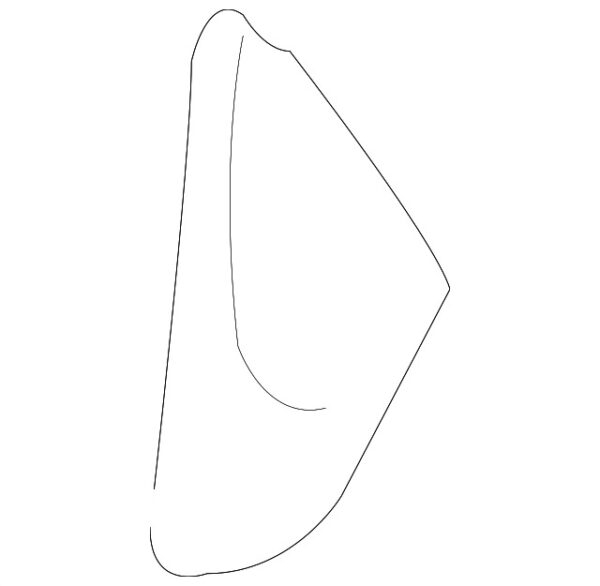 21691801308487