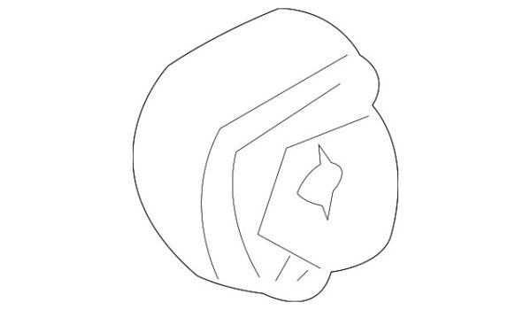 A22091817309B51