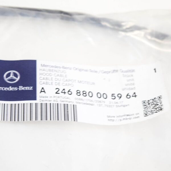 A246880005964