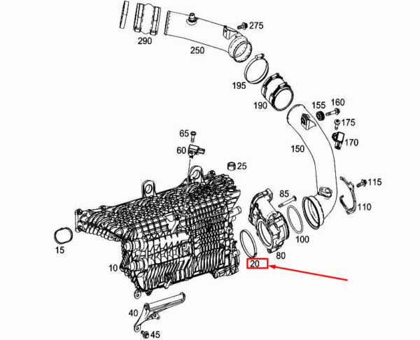A2560980080
