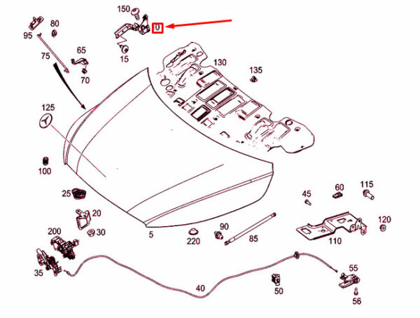 A4478807600